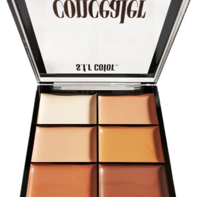 S.F.R Color HD Concealer 2